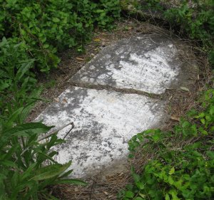 Ann & JD McLeod's grave at Whangarei Heads Pioneer Cemetery NZ